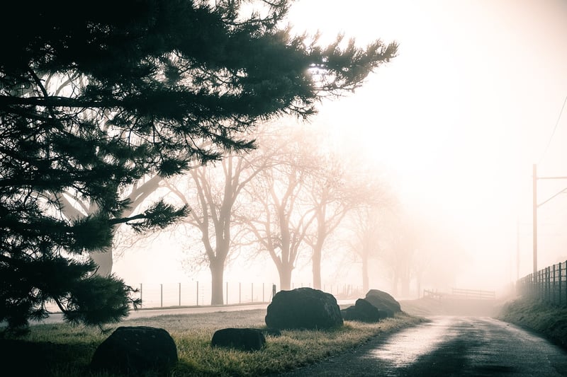 Enchanted Pathway